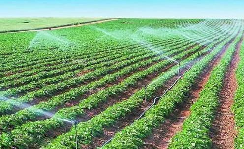 东北大阴户视频农田高 效节水灌溉
